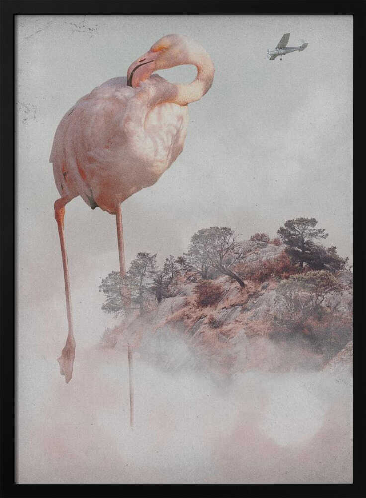Floating Flamingo Island