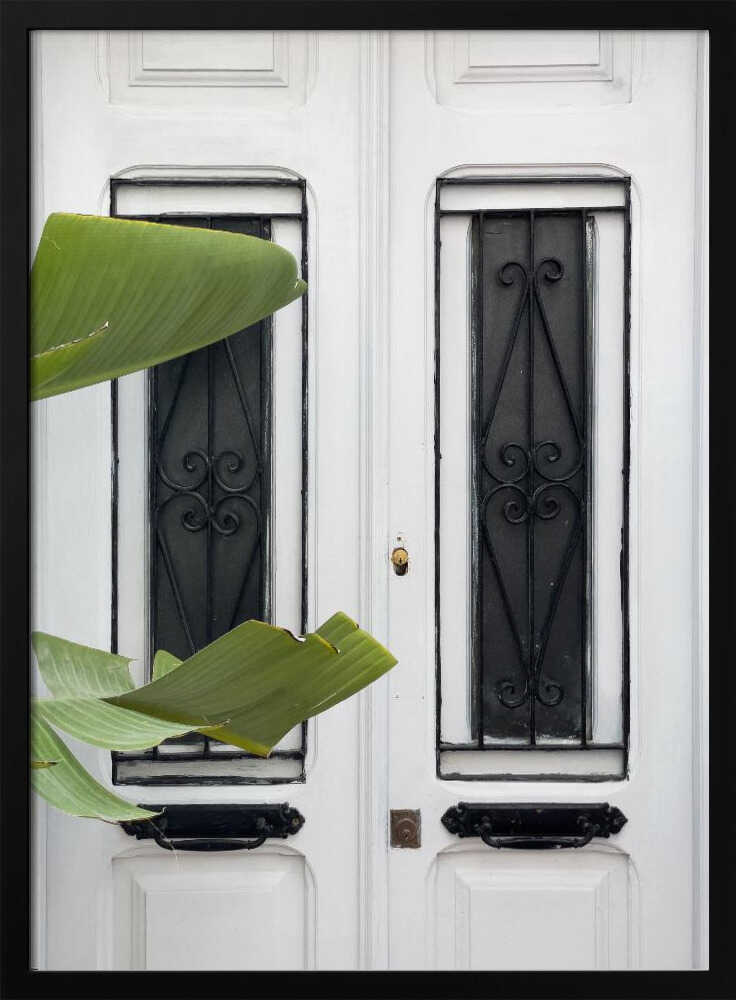 Elegant White Door Tropical Leaves