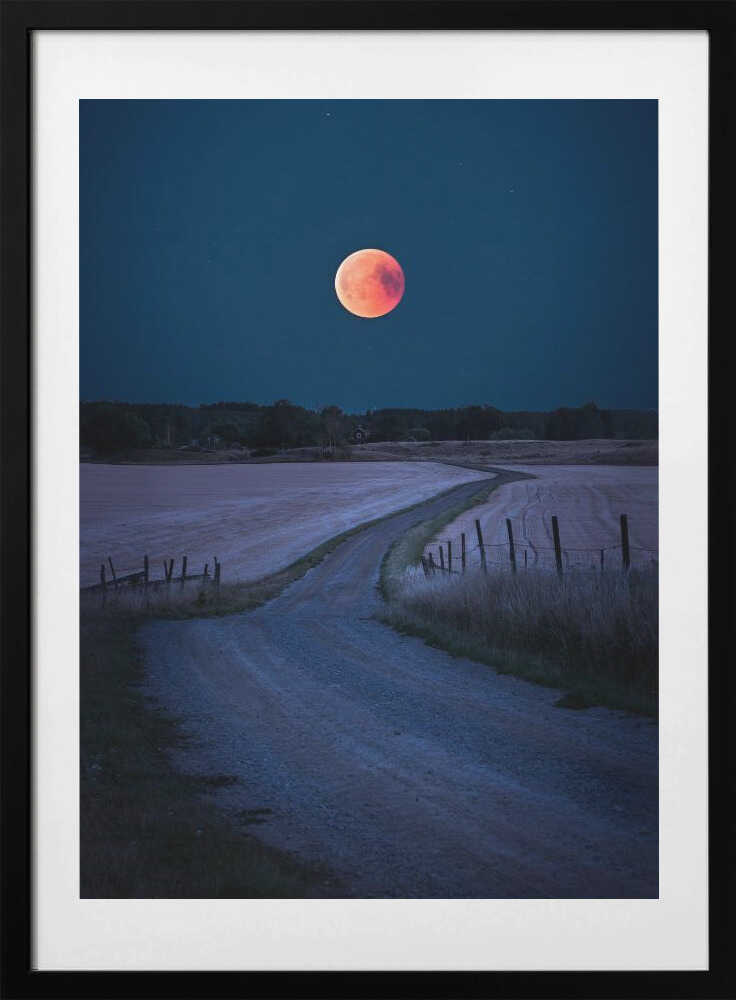 Blood Moon Road
