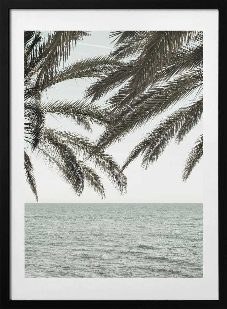 Tropical Ocean Palms
