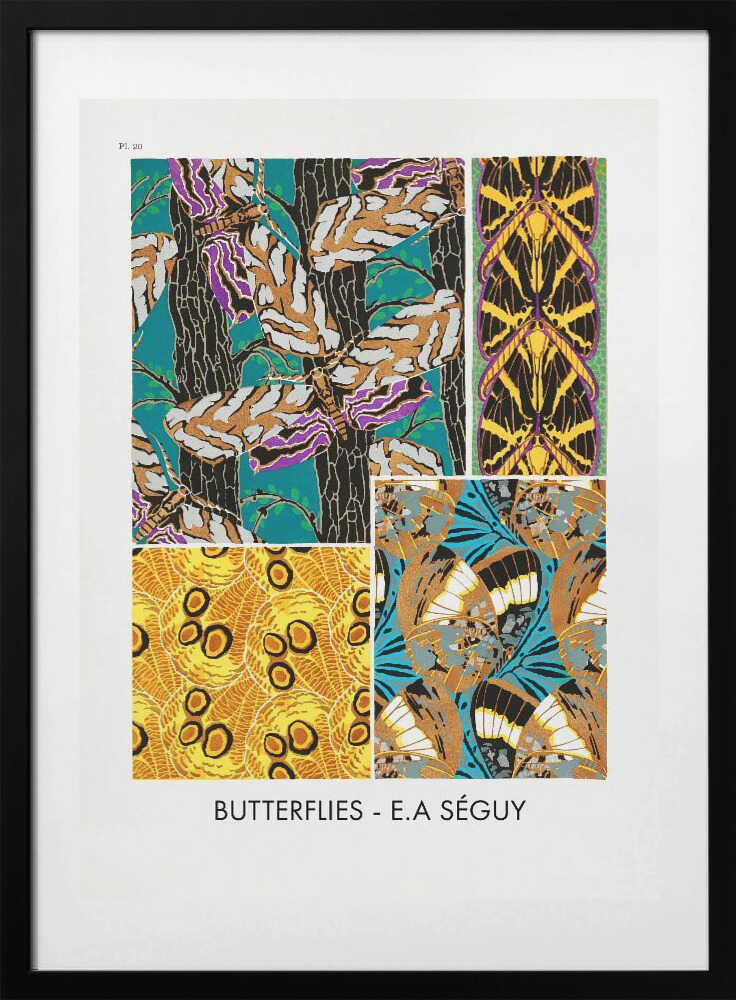 Butterflies 20