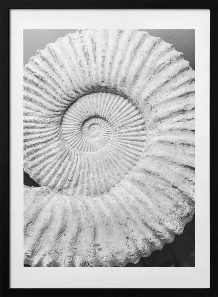 Spiral