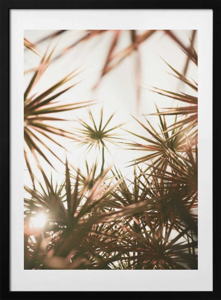Abstract Beauty Of Spiky Plant