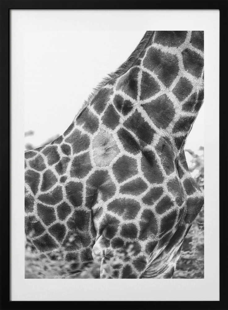 Mönstrad giraff