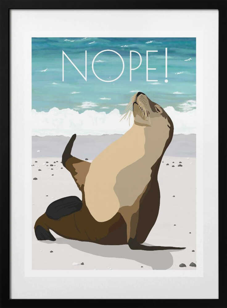 Nope! Beach Sea Lion