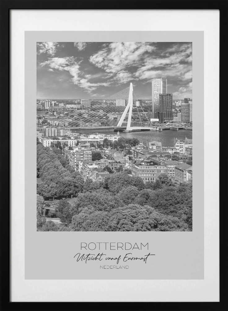 Rotterdam Skyline View