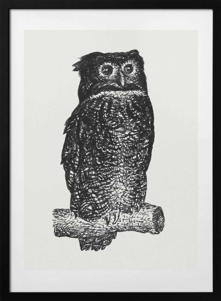 Owl