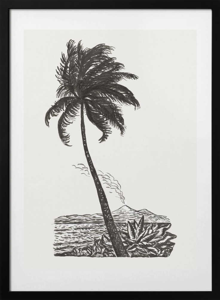 Palm Tree With an Island (ca. 1891–1941)