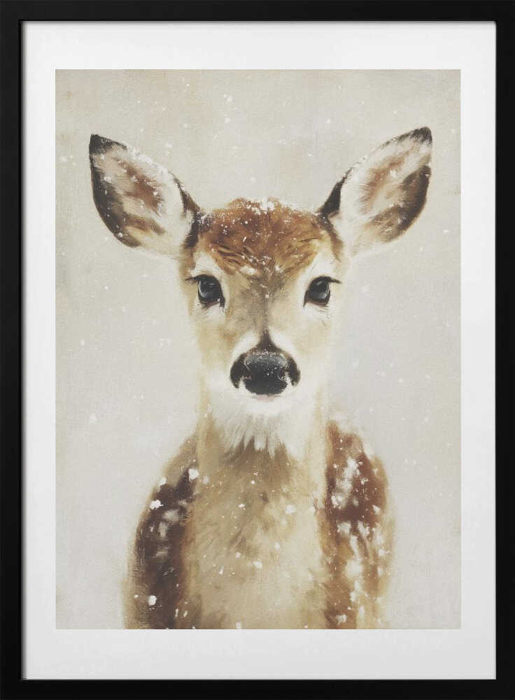 Young Deer
