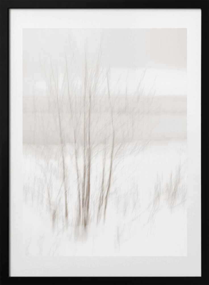 Winter White