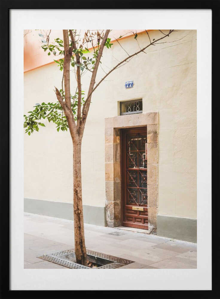 Rustic Doorway Tree