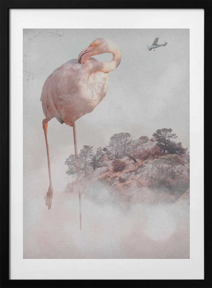 Floating Flamingo Island
