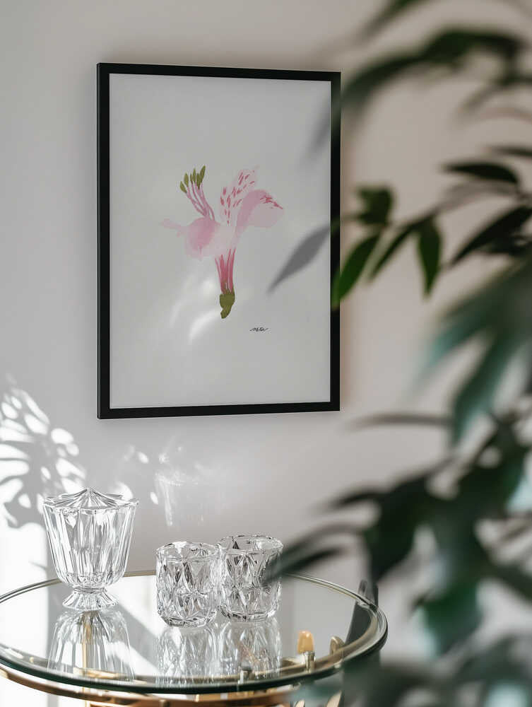 Soft Pink Alstroemeria