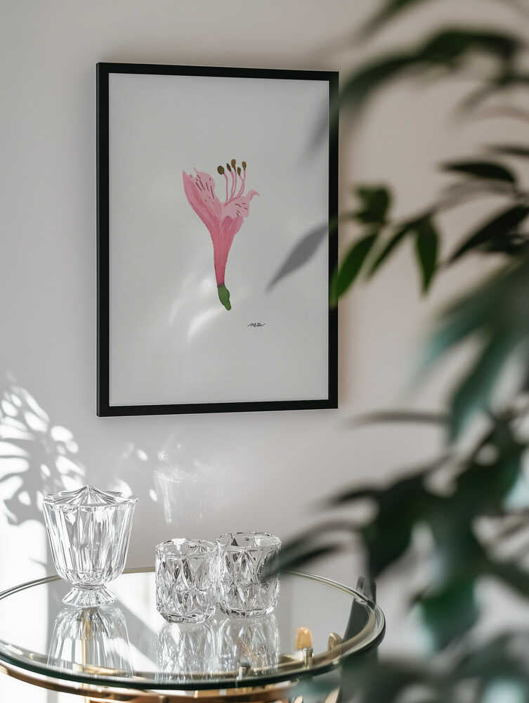 Soft Pink Blossom