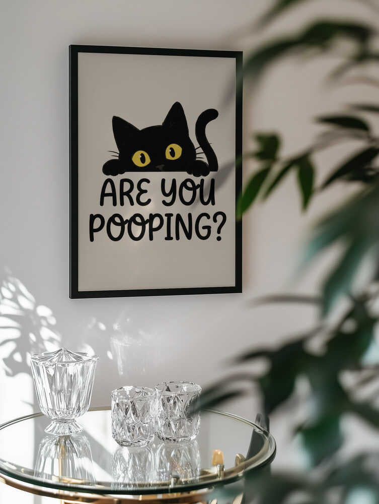 Funny Peeking Cat