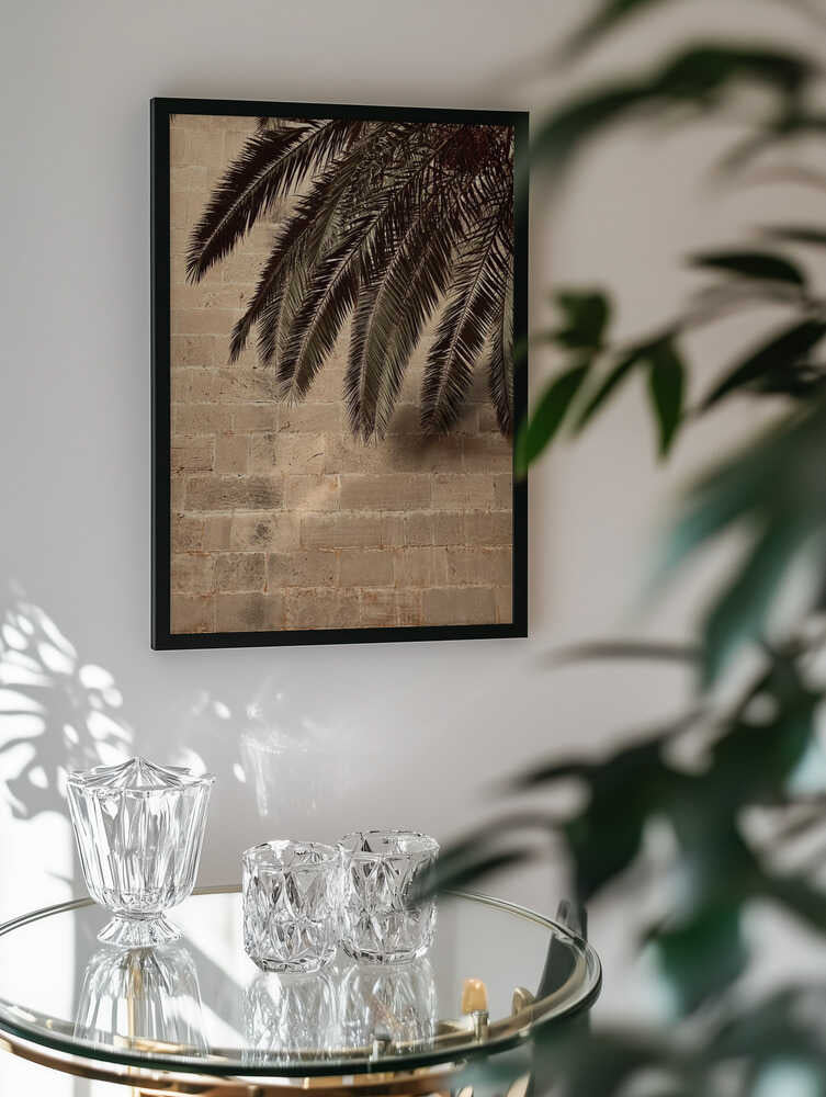 Palm Shadow on Stone