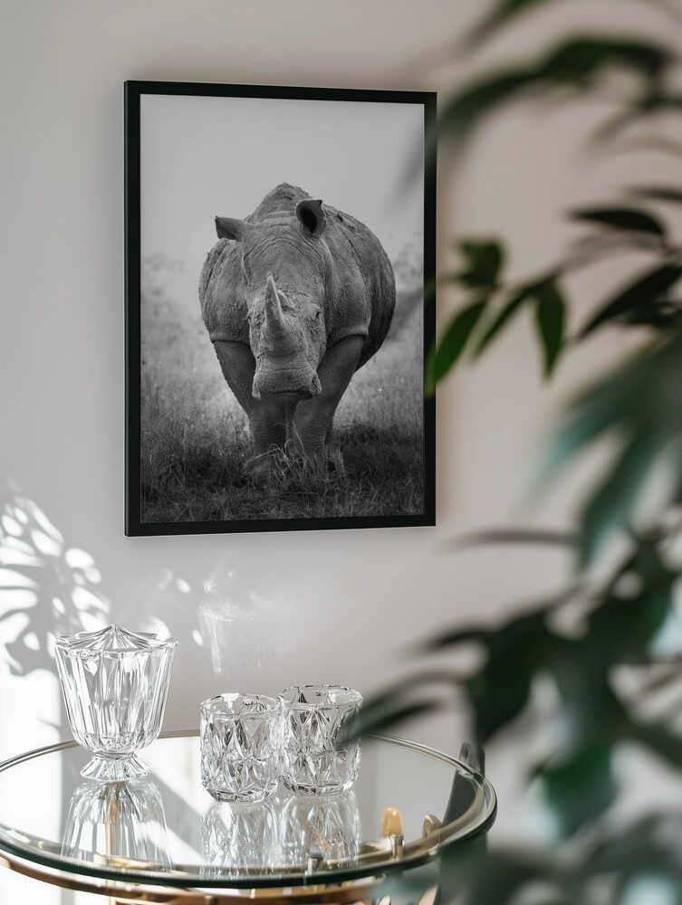 Powerful Rhino Portrait