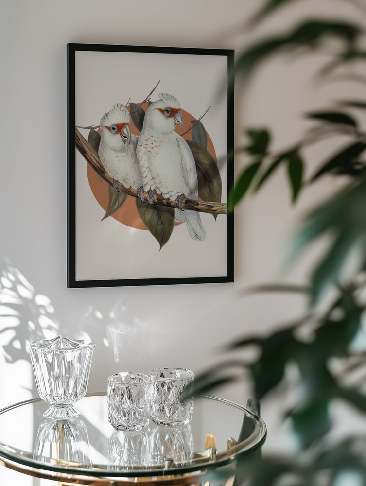Tropical Cockatoo Pair