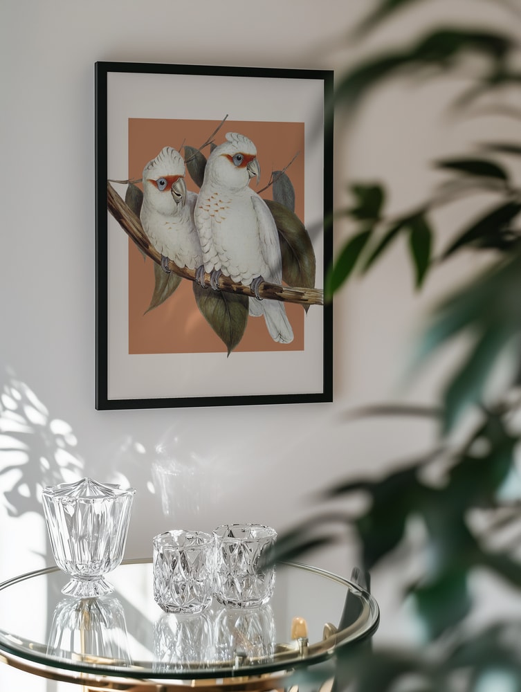 Two White Cockatoos