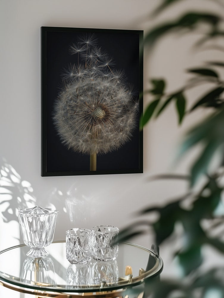 Dandelion Seed Head