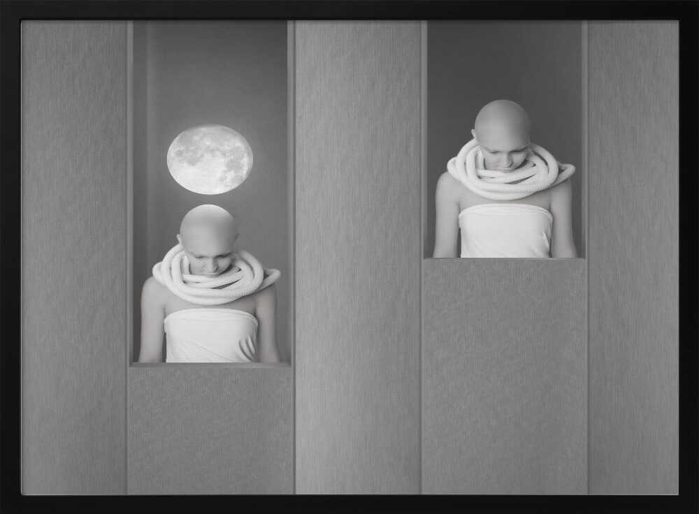 Moonlit Contemplation