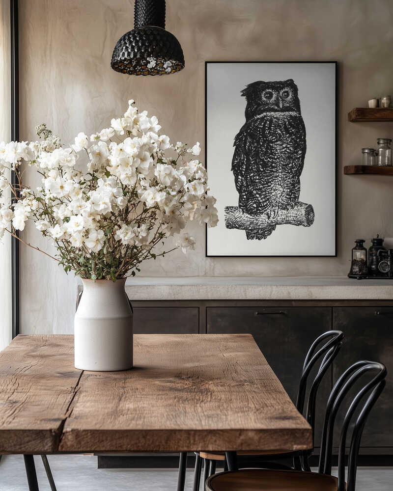 Owl