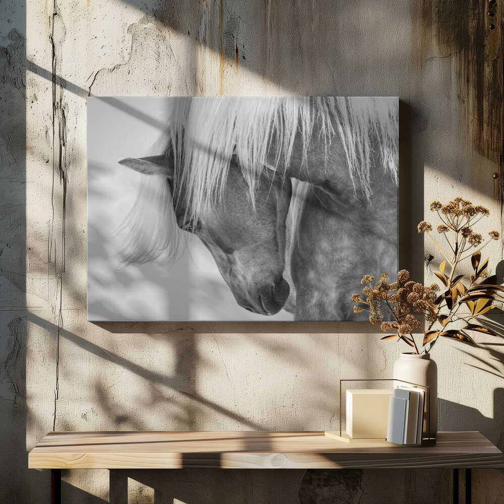 Haflinger Portrait II