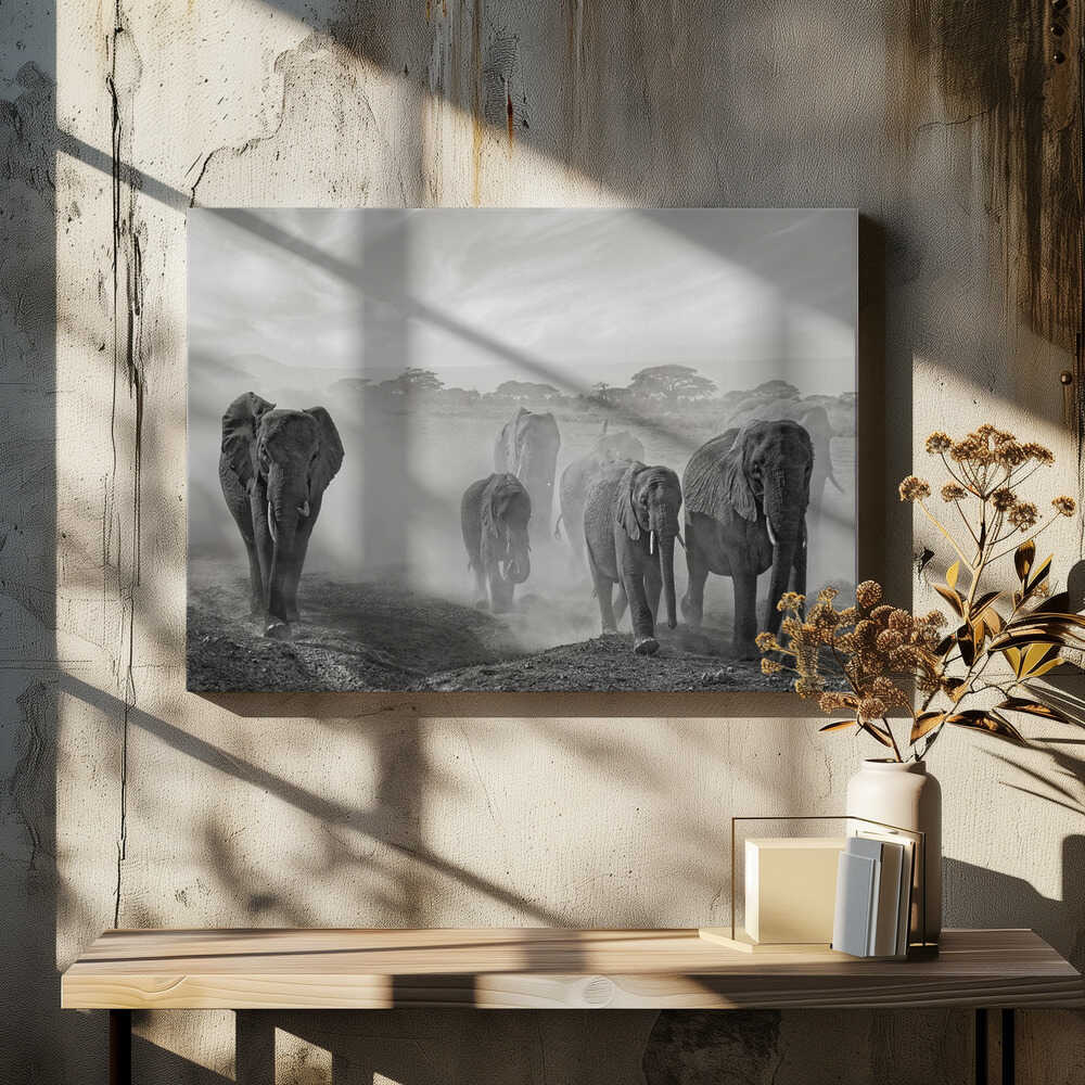 Elephants In Dust