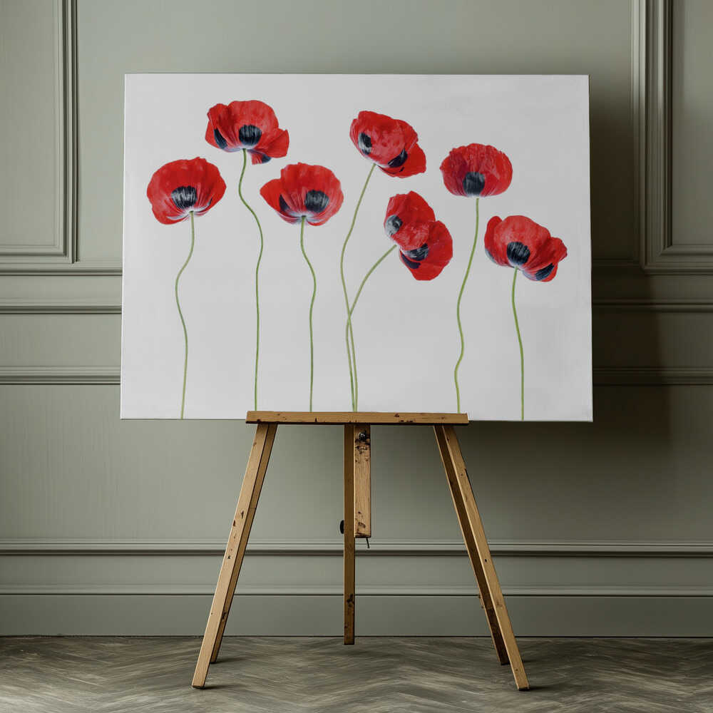 Ladybird Poppies
