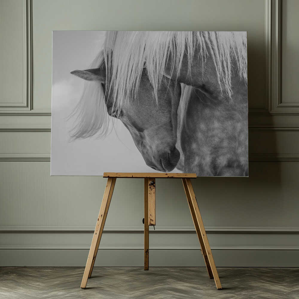 Haflinger Portrait II