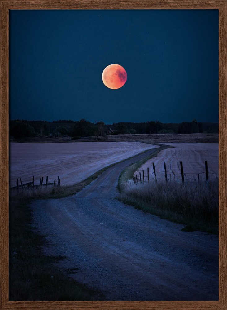 Blood Moon Road