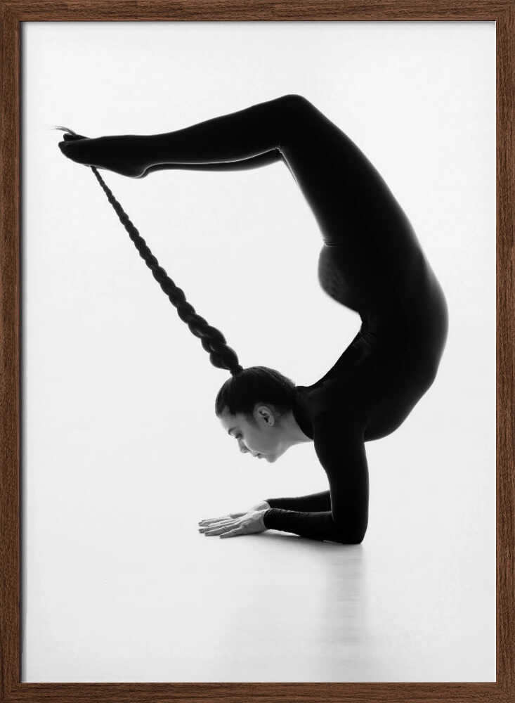 Elegant Braided Pose