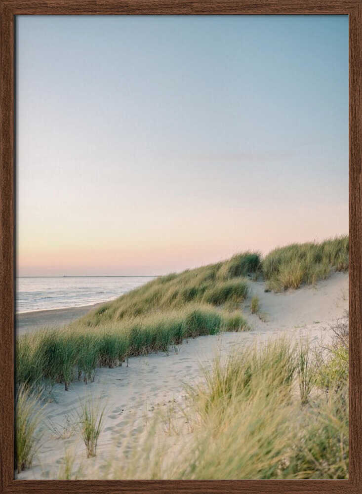 Sanddyner