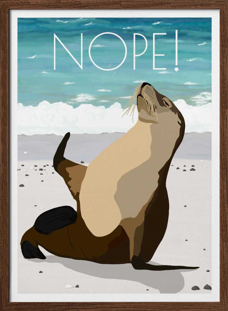 Nope! Beach Sea Lion
