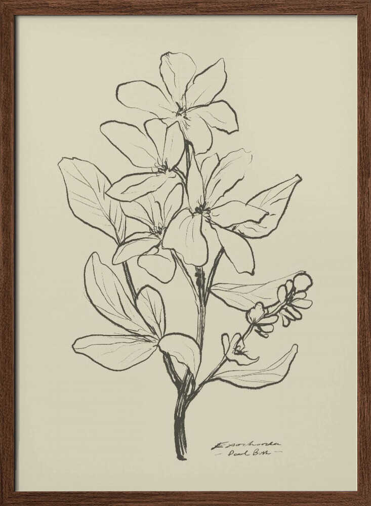 Floral 1