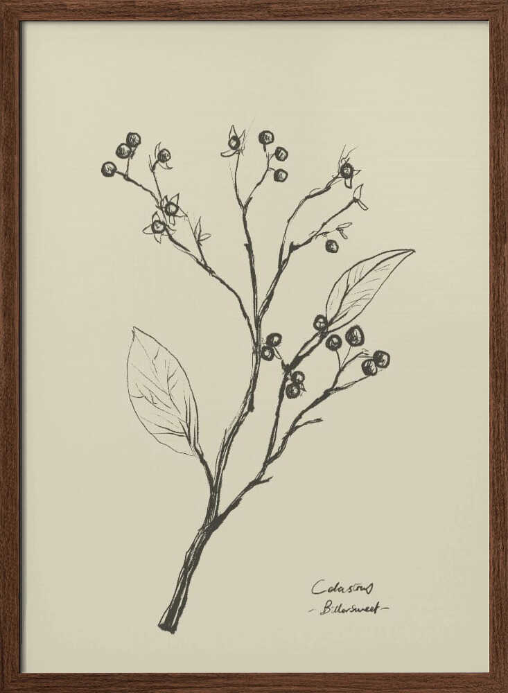 Floral 2