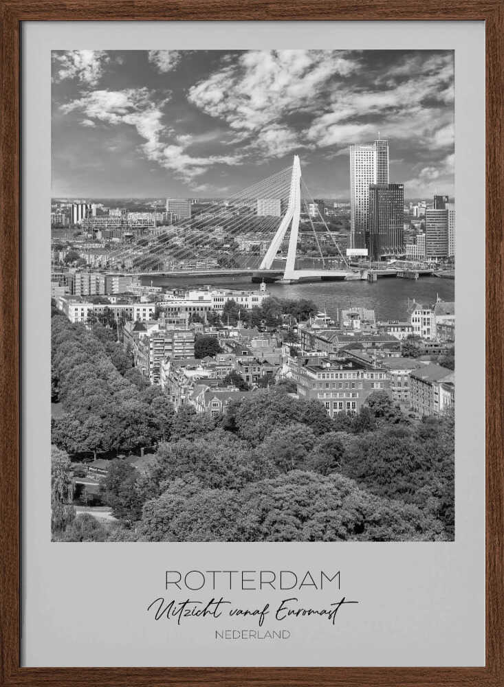 Rotterdam Skyline View