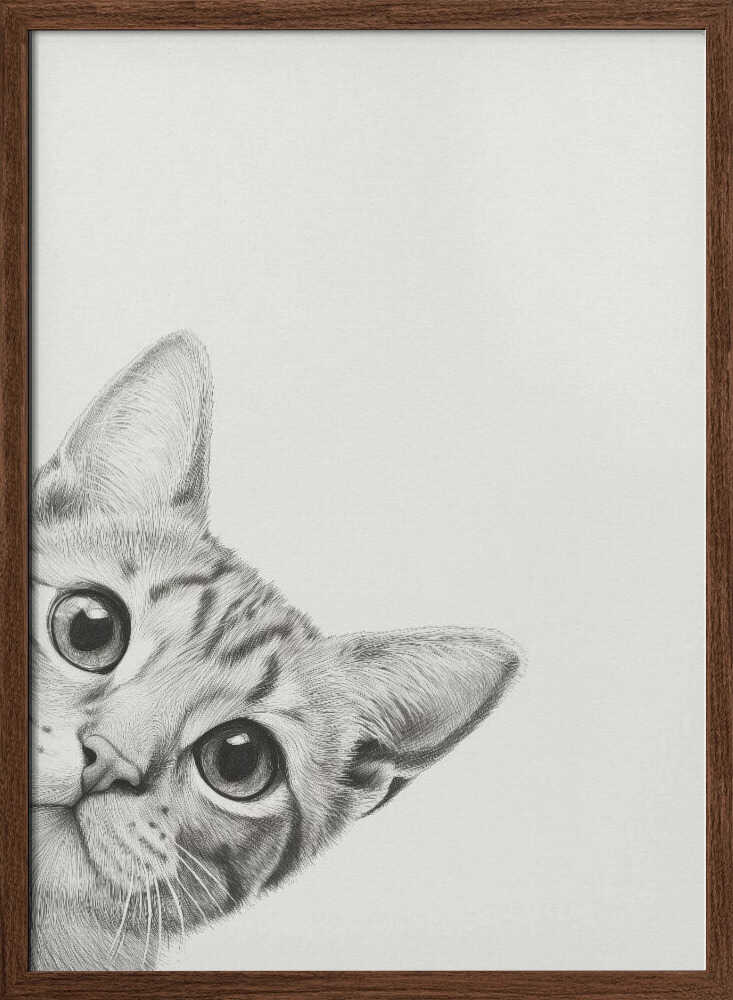 Nyfiken katt