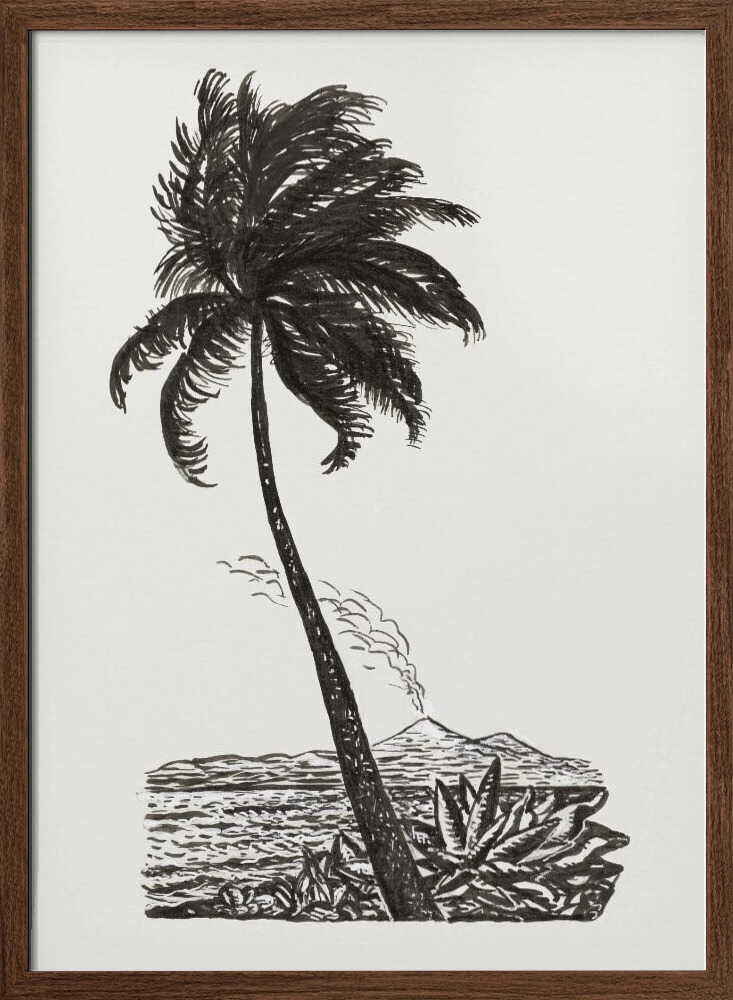 Palm Tree With an Island (ca. 1891–1941)