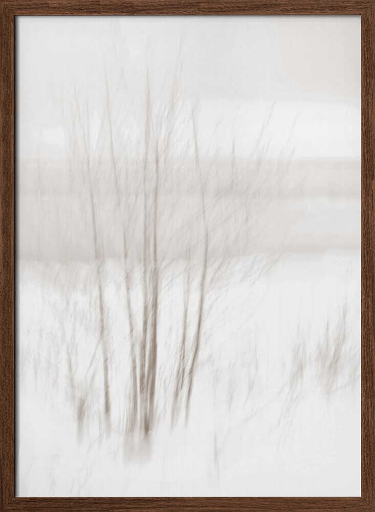 Winter White