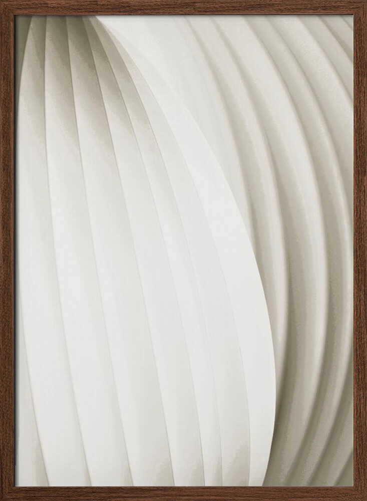 Soft Curves