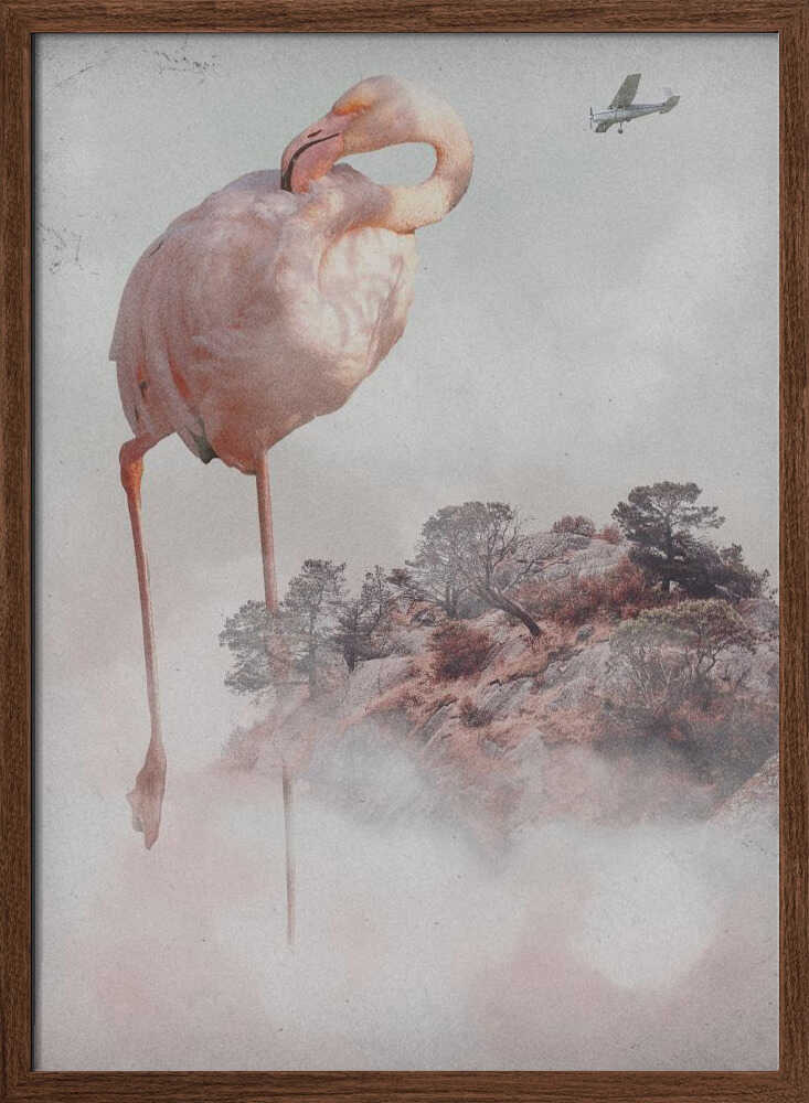 Floating Flamingo Island