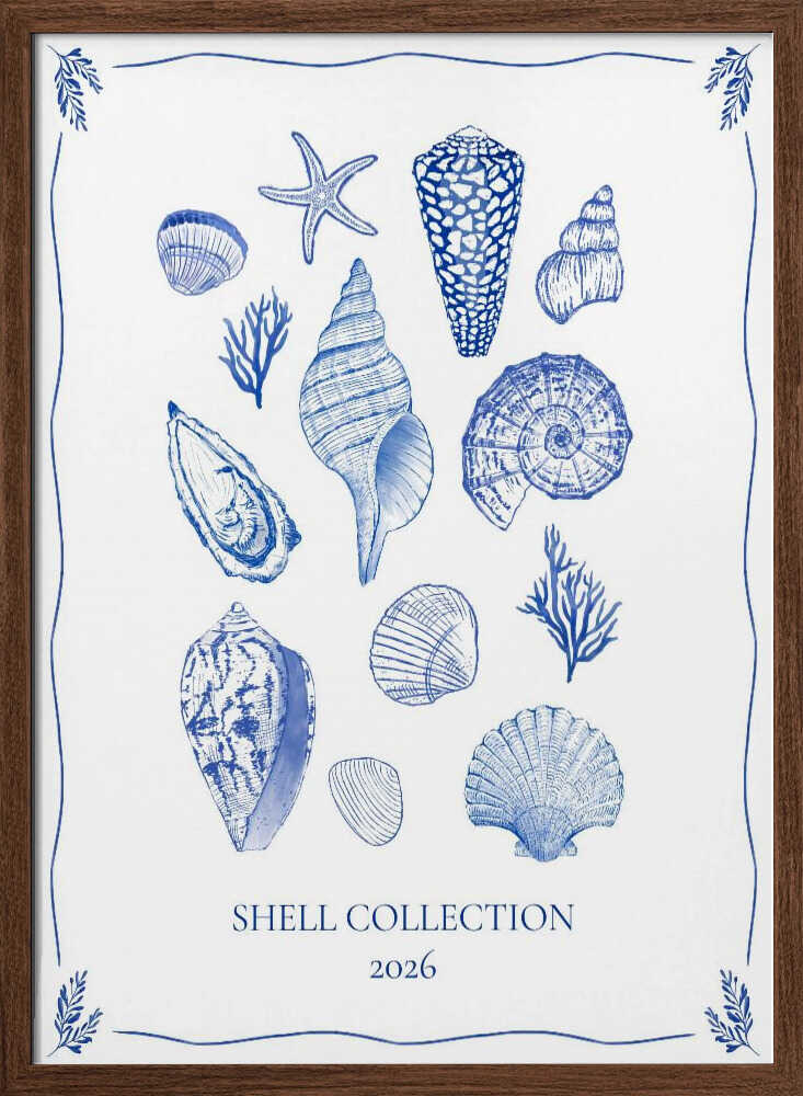 Coastal Shells Gathering