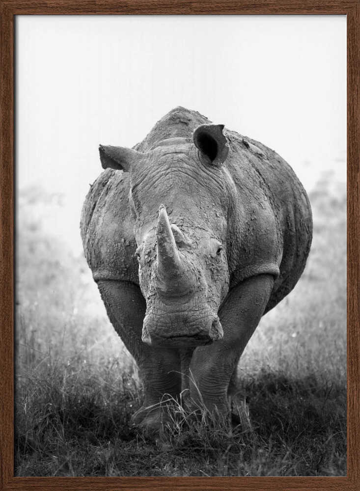Powerful Rhino Portrait