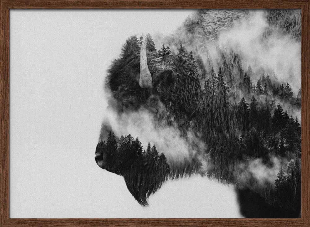Skog & Bison