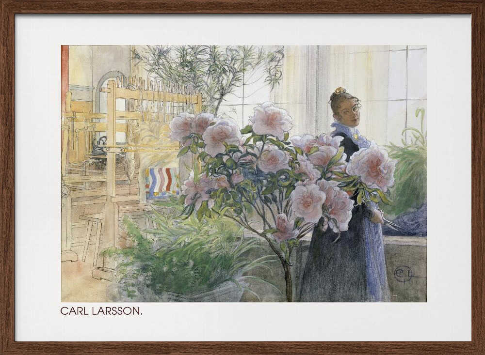 Azalea (1906)