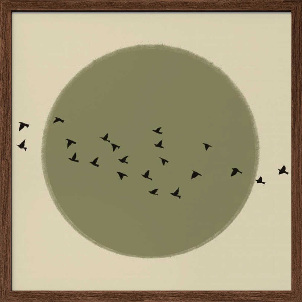 Graceful Birds Soaring
