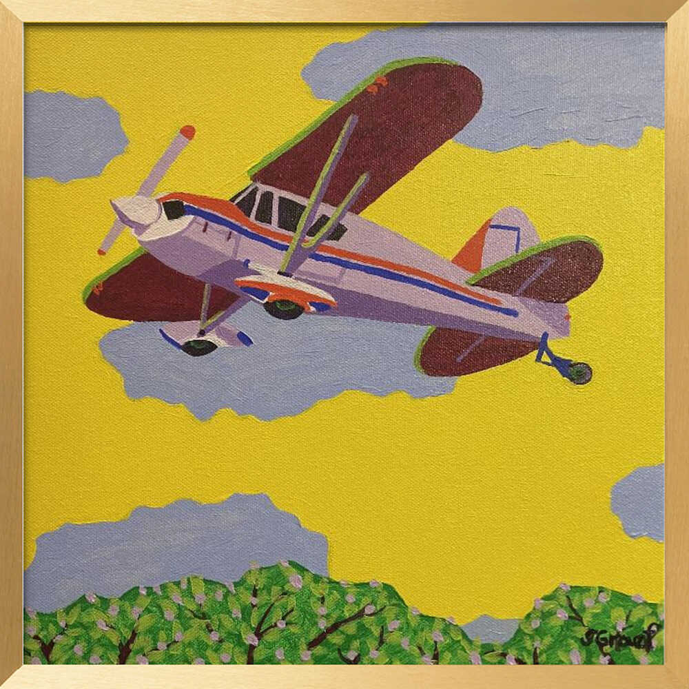 Flying