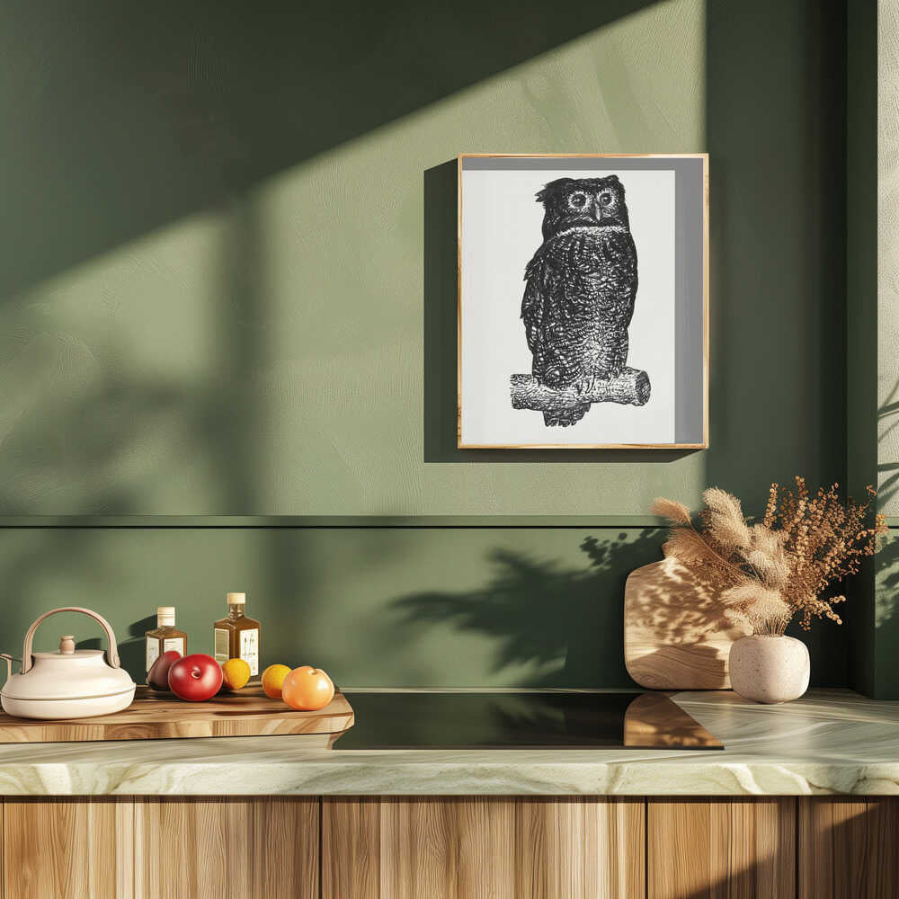 Owl