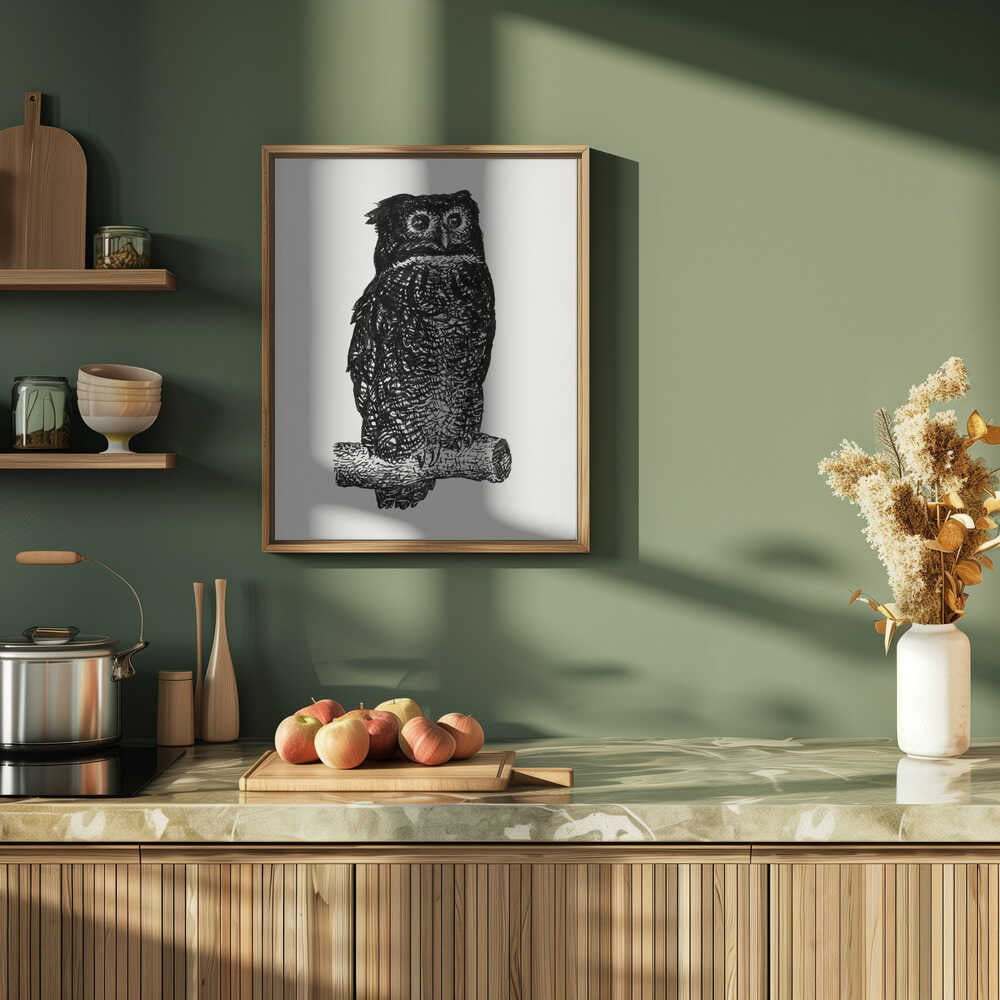 Owl